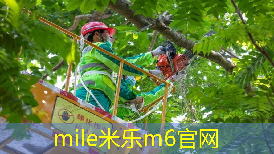 mile·米乐m6：50米塑胶跑道造价多少钱