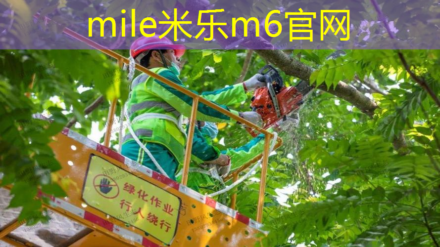 米乐m6官网登录入口：儿童健身器材有哪些室内