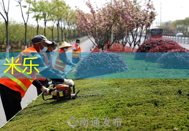 米乐m6官网：又便宜又好用的乒乓球台