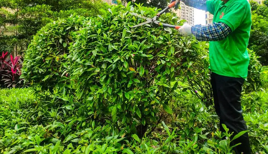 火车上能不能带网球拍