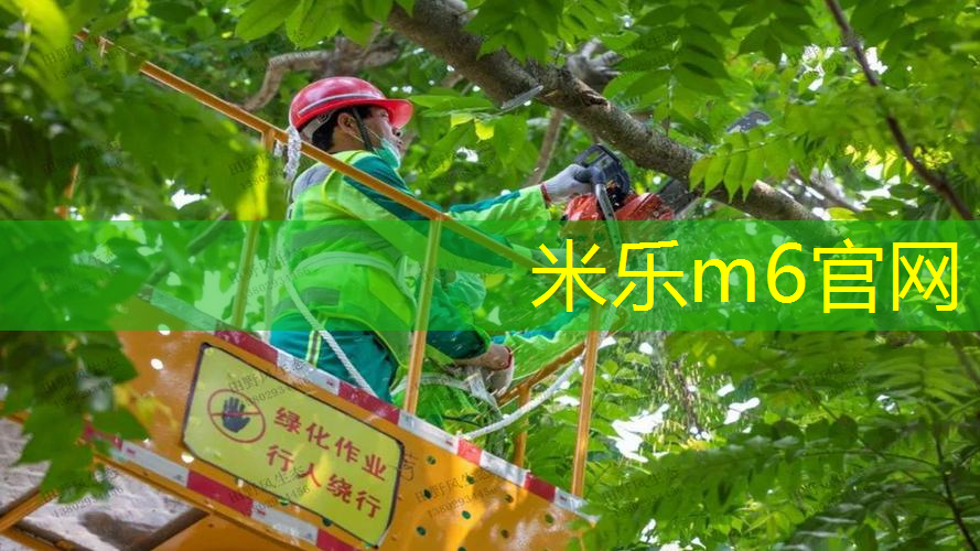 网球拍内手柄底胶是什么