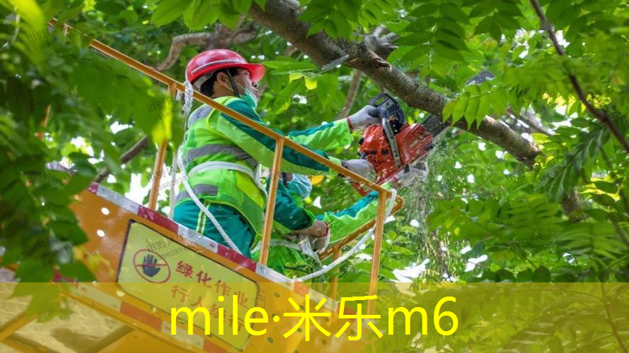儿童健身器材有哪些室内
